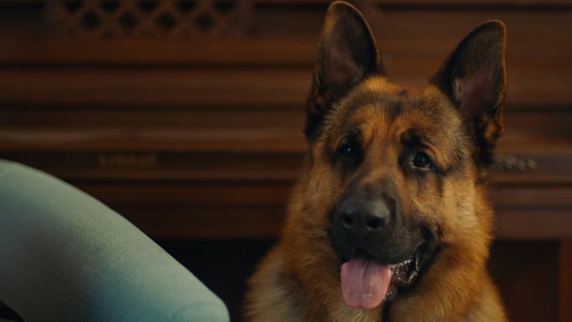 Still from In From the Cold