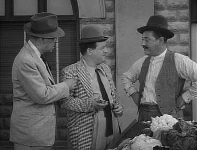 Still from Bingo the Chimp
