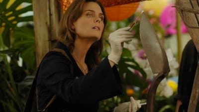 Still from The Perfect Pieces in the Purple Pond