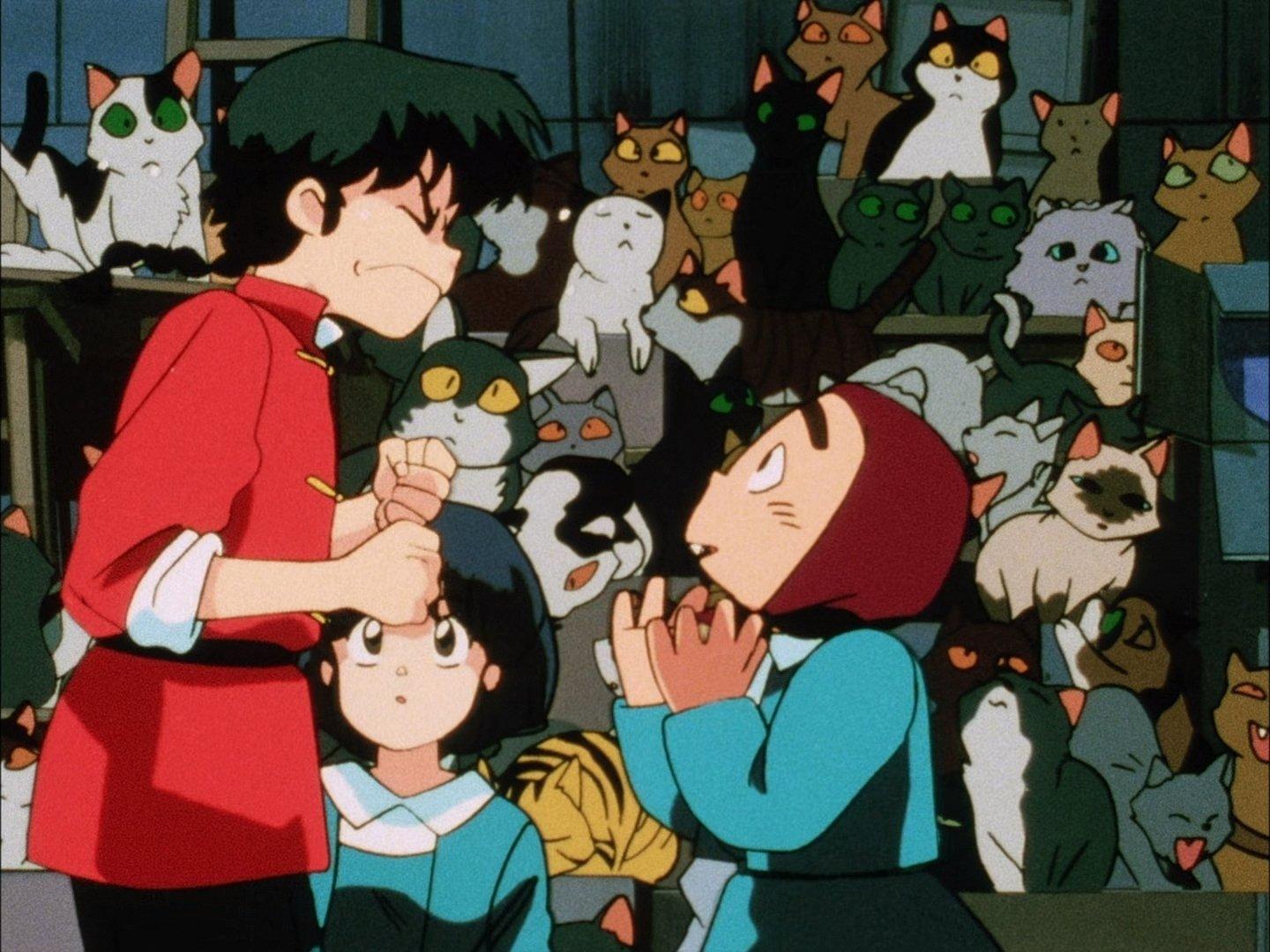 Still from You Really Do Hate Cats!