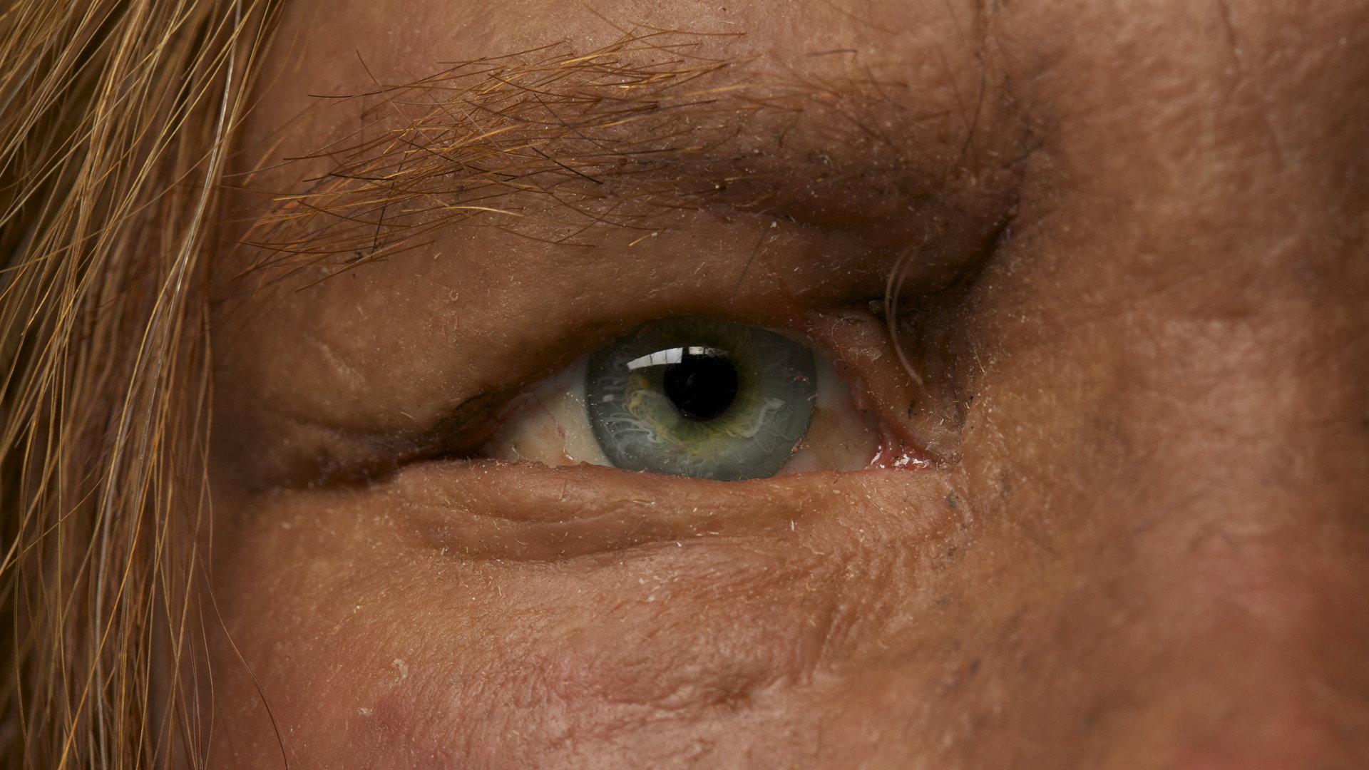 Still from Decoding Neanderthals
