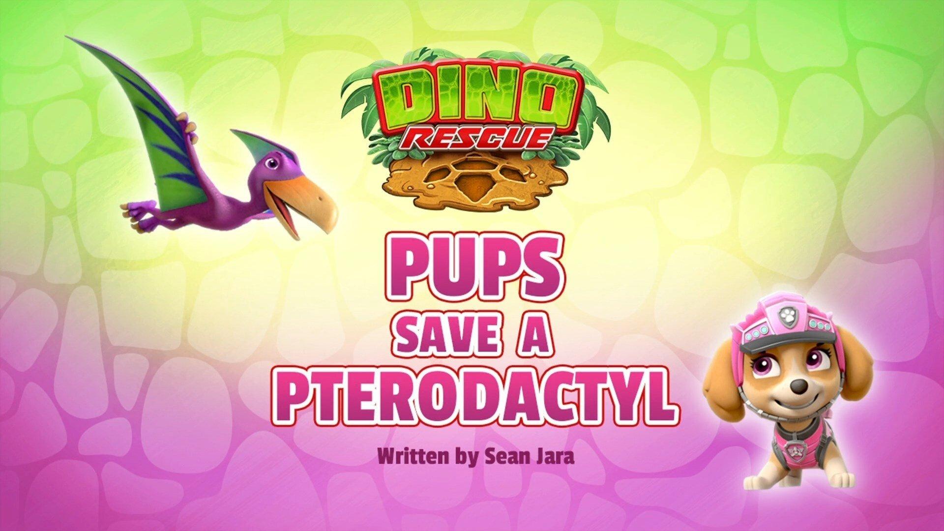 Still from Dino Rescue: Pups Save a Pterodactyl