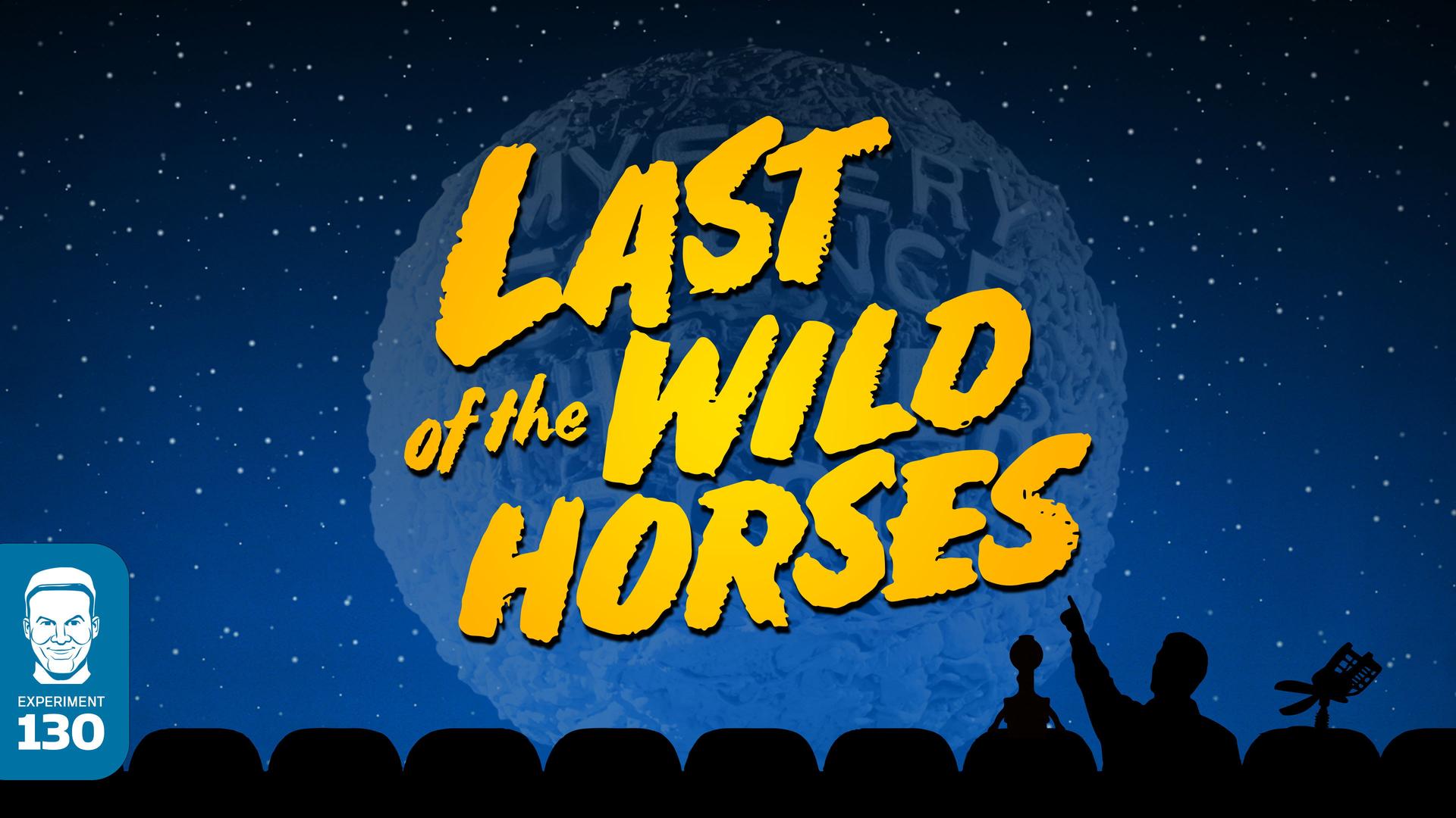 Still from Last of the Wild Horses