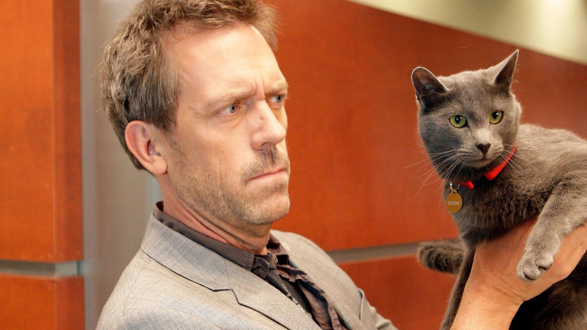 Still from Here Kitty