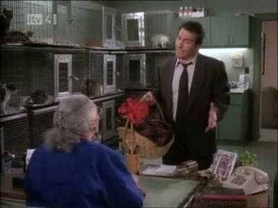 Still from Felines ... Nothing More Than Felines