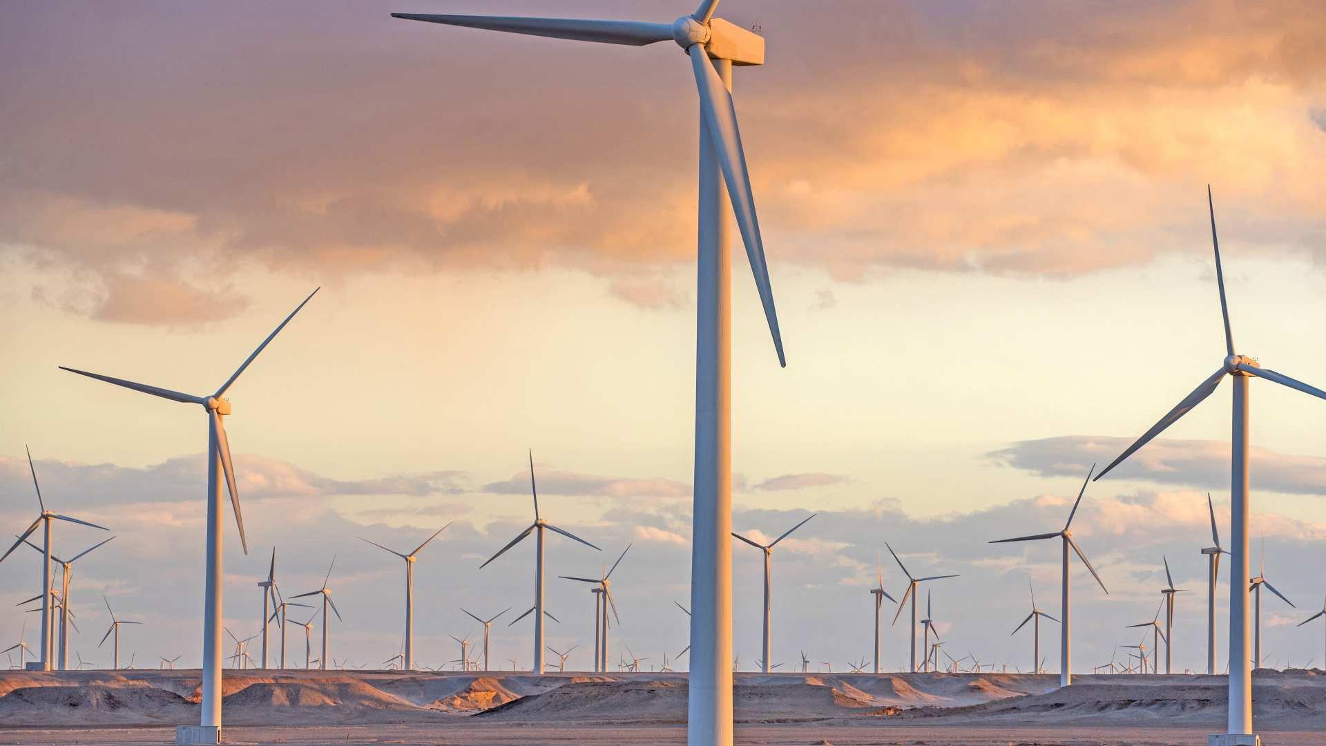 Still from Wind Turbines, Car Tyres, Mushrooms