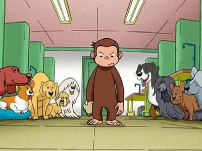 Still from Curious George, Dog Counter