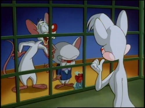 Still from The Senses Song