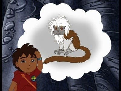 Still from Cotton-Top Tamarin Cave Rescue