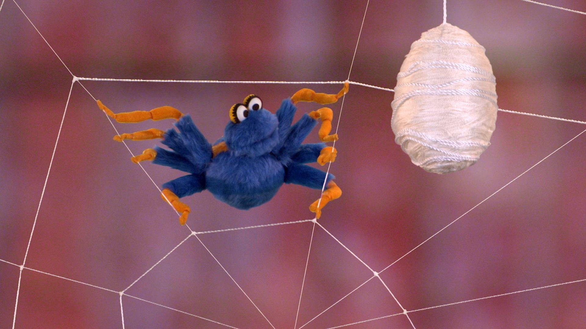 Still from The Itsy Bitsy Spider Search