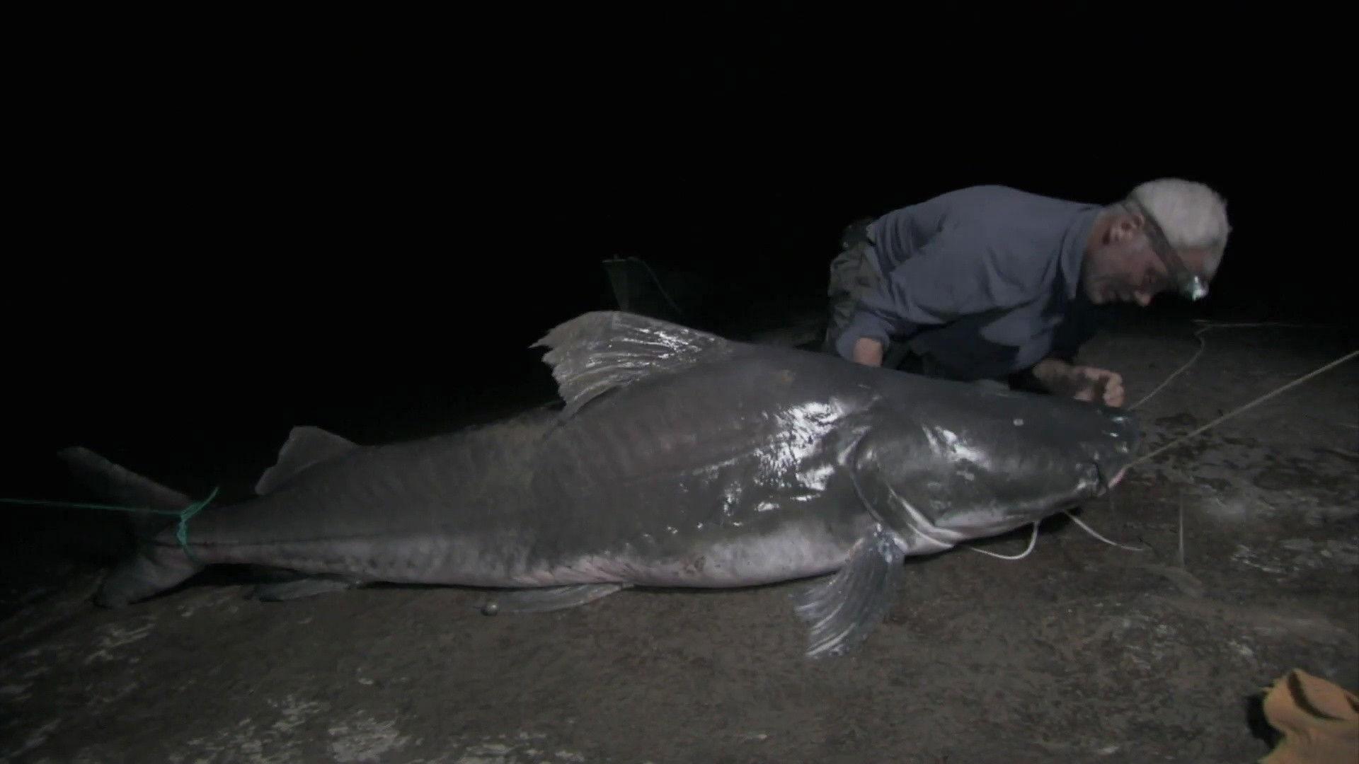Still from Man-Eating Monster