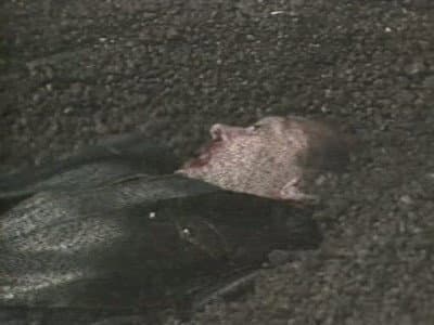 Still from Frontios (3)
