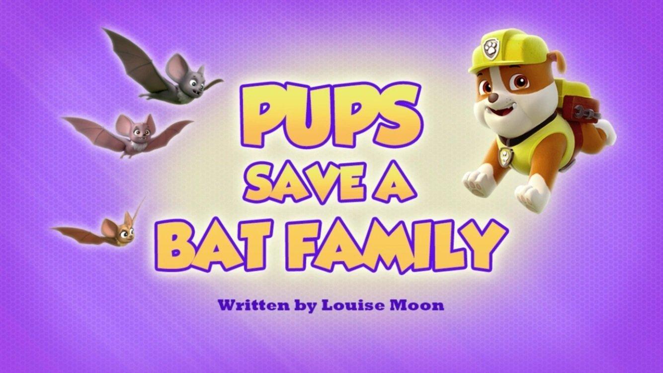 Still from Pups Save a Bat Family