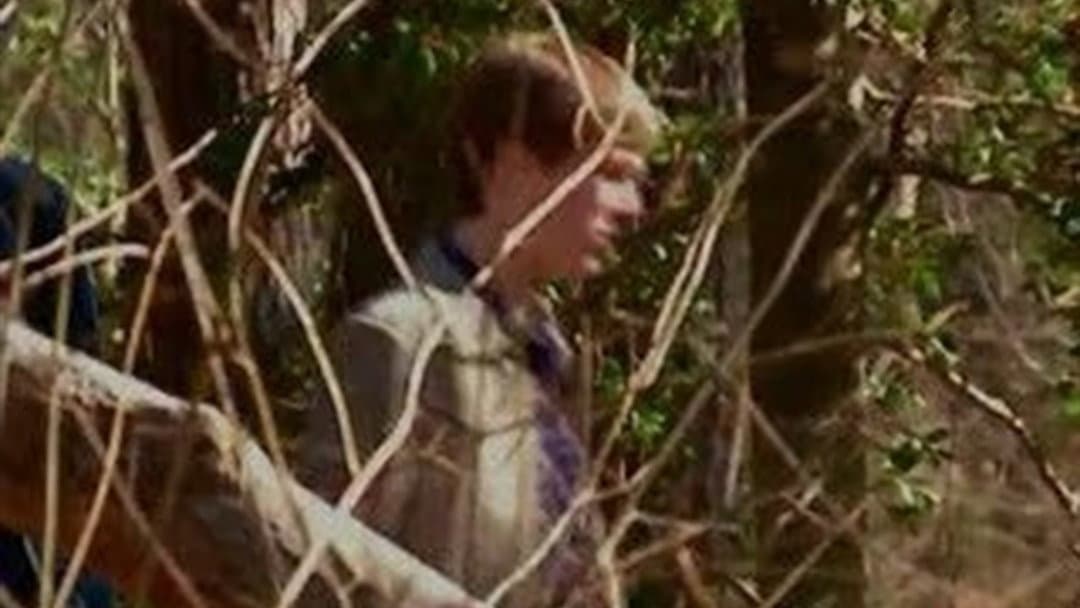 Still from Dark Forest