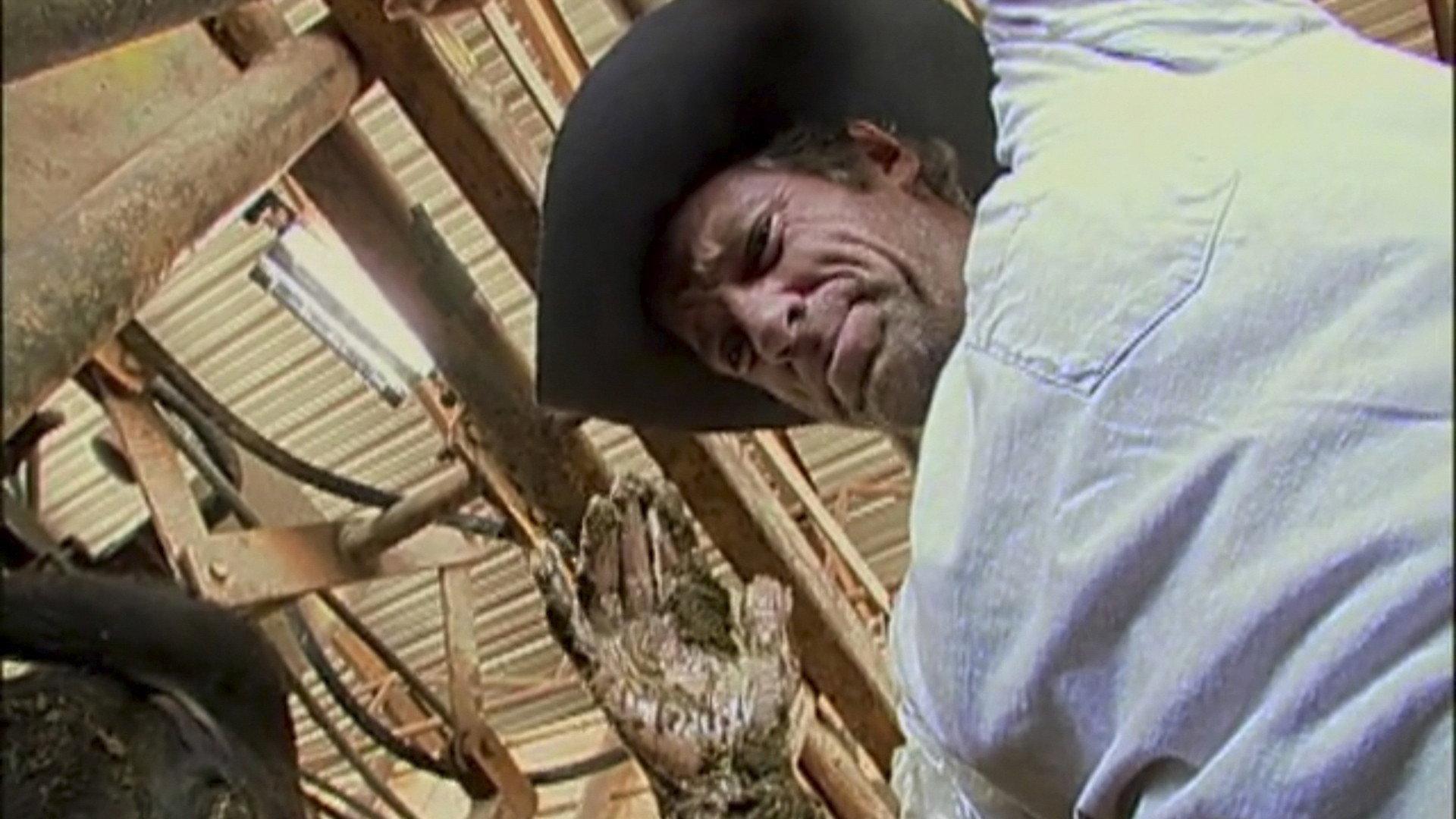 Still from Avian Vomitologist