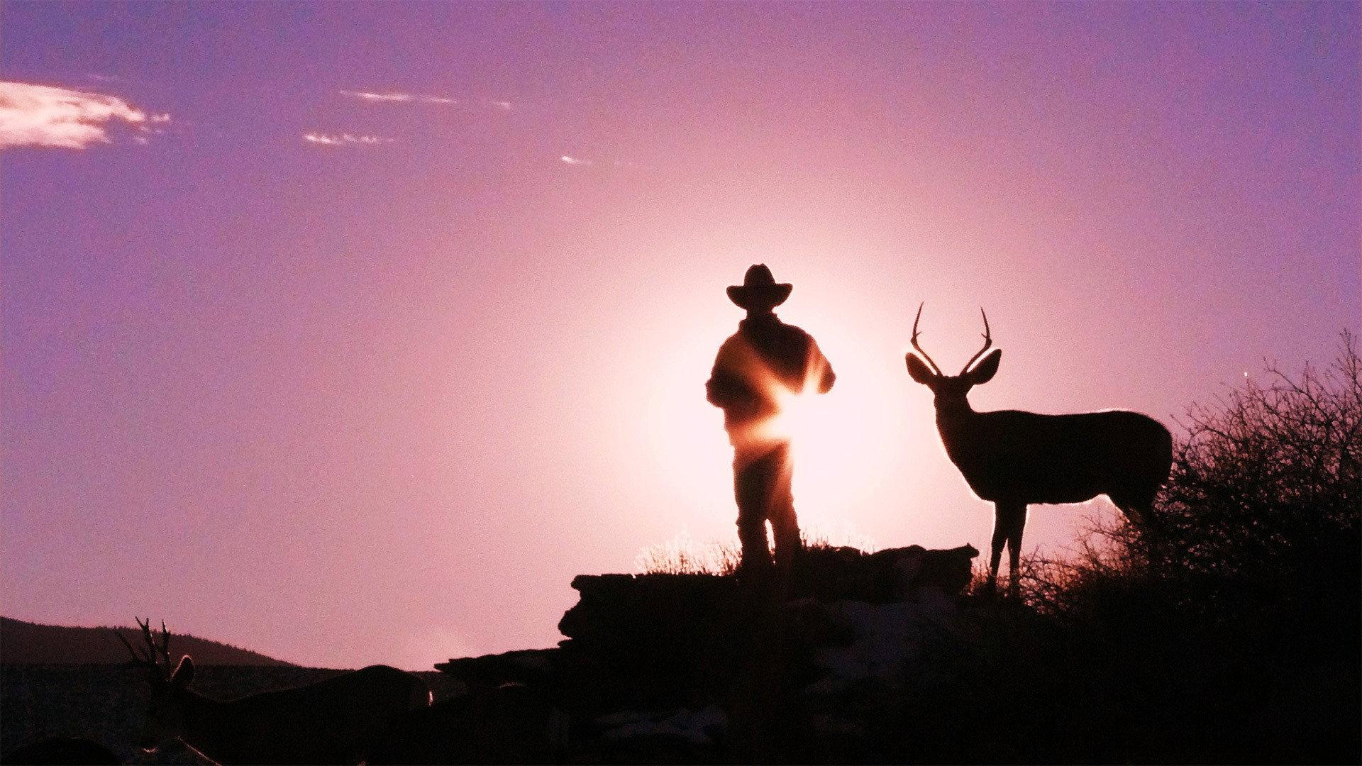Still from Touching the Wild