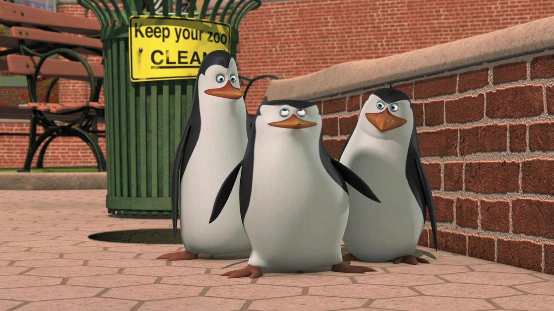 Still from Skipper Makes Perfect