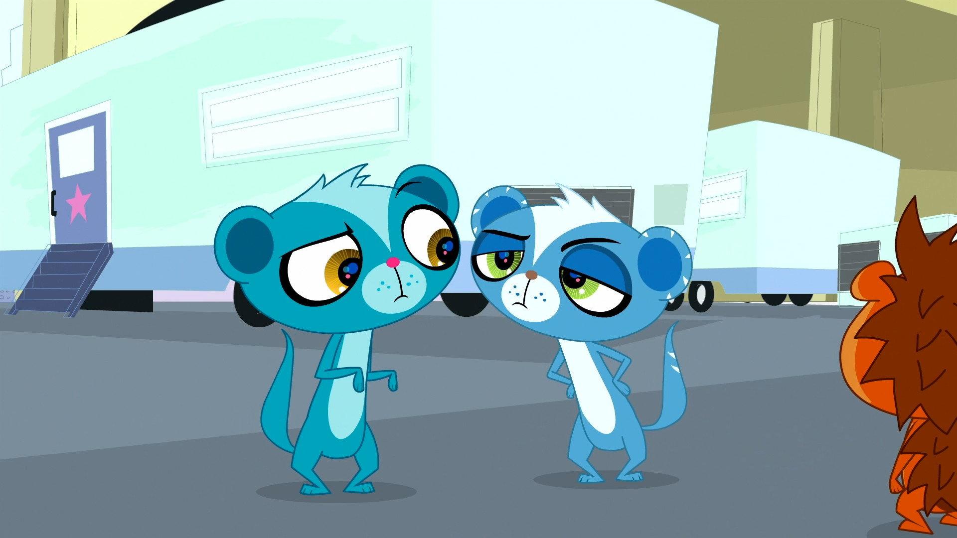 Still from Lights, Camera, Mongoose!