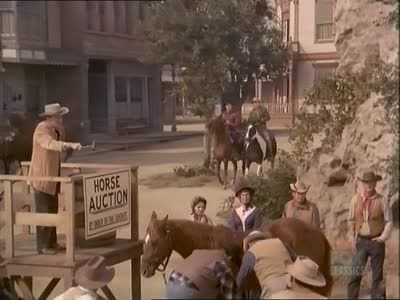 Still from Check Rein