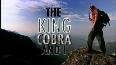 Still from The King Cobra and I