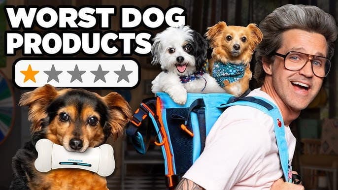 Still from Are These New Pet Products Worth It?