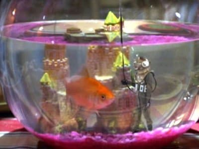 Still from A Fish Tale