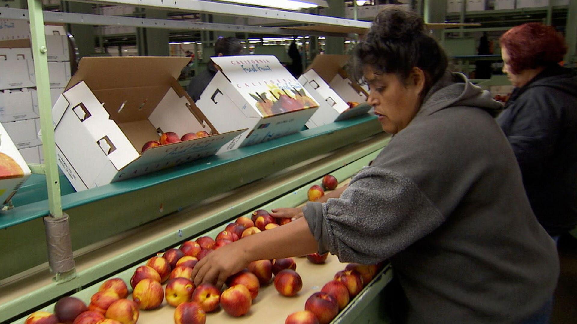 Still from Harvesting Plus