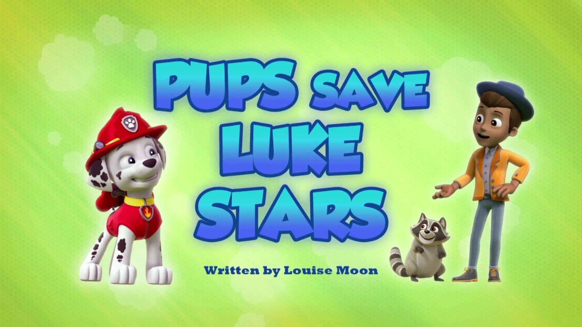 Still from Pups Save Luke Stars