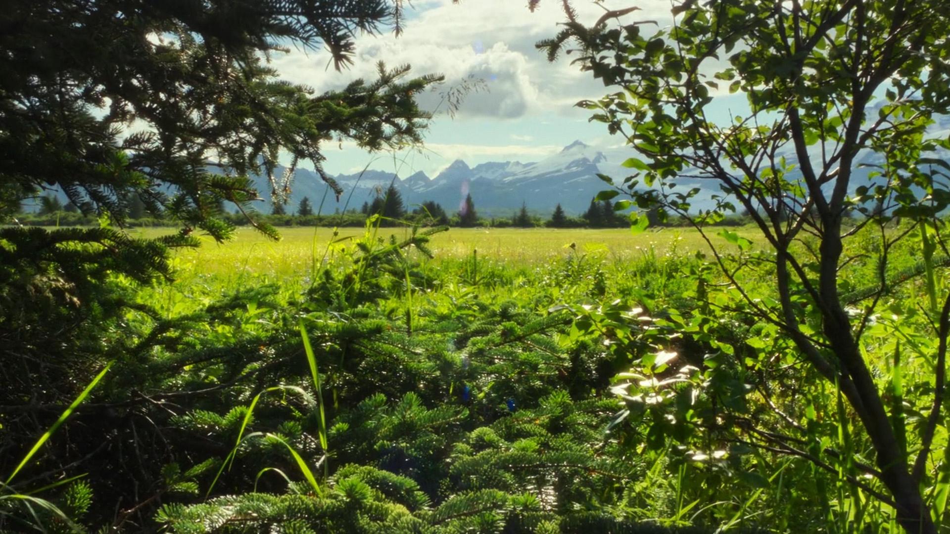 Still from Turning Seasons
