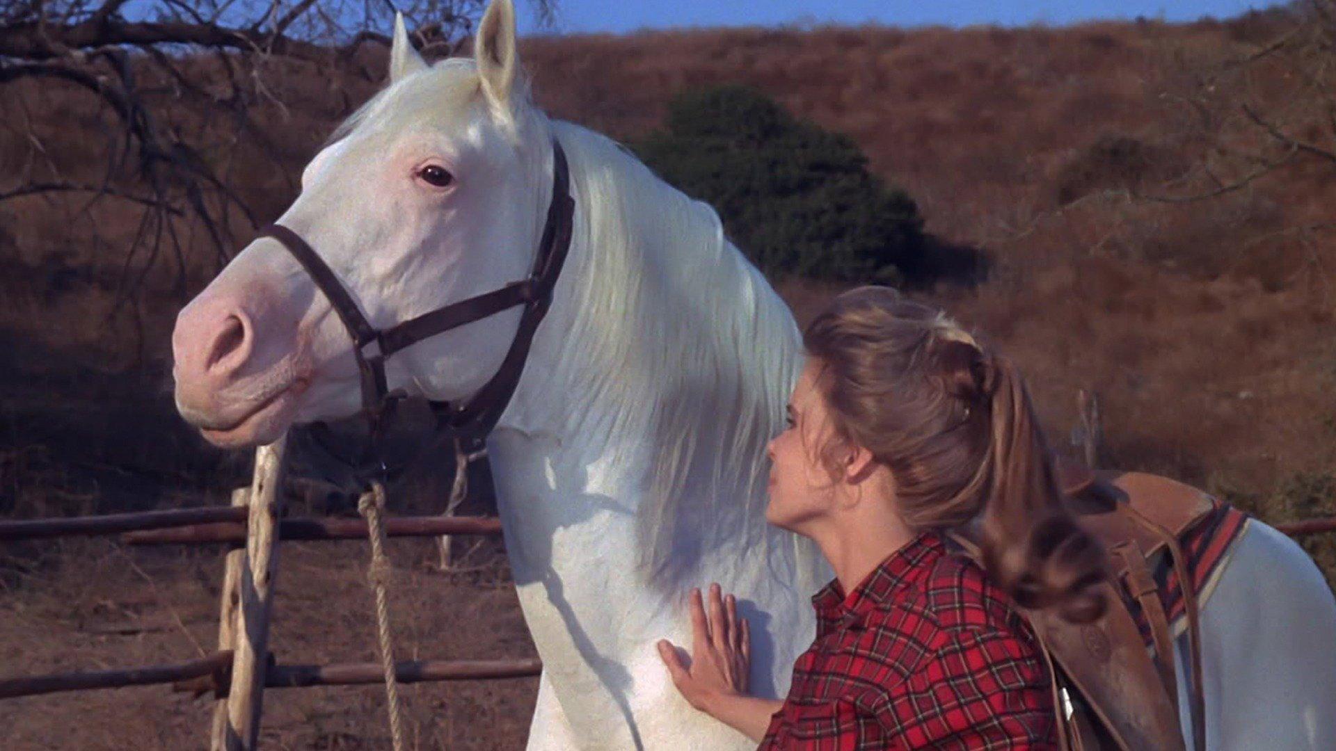 Still from Beloved Outlaw