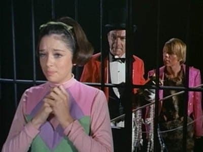 Still from A Day at the Zoo