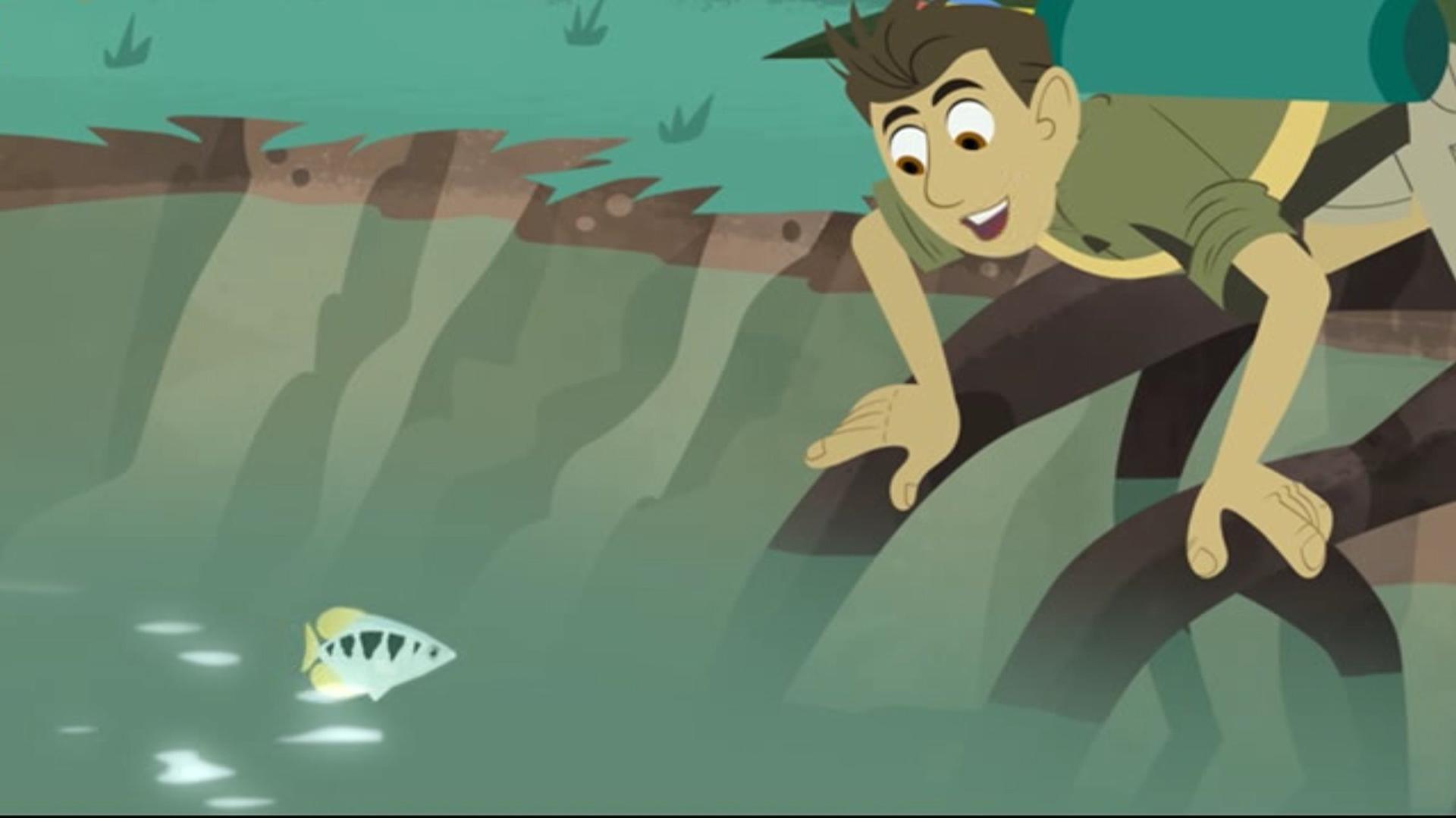 Still from Archerfish School