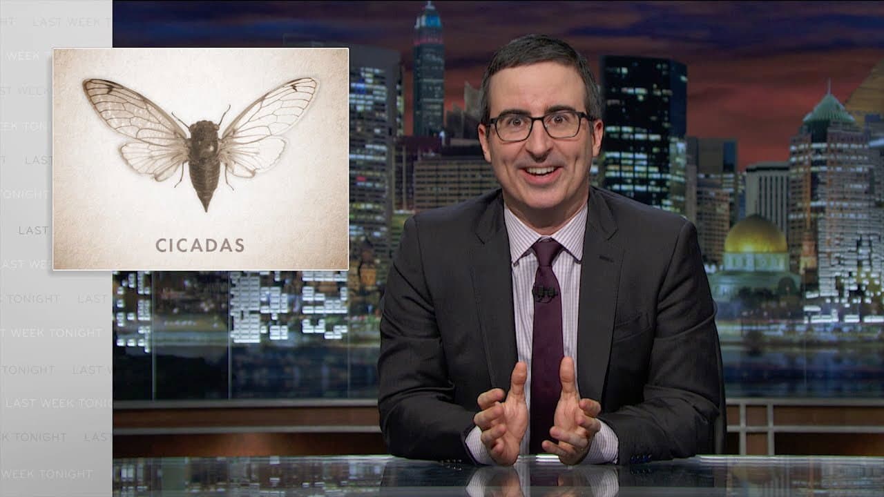 Still from Cicadas