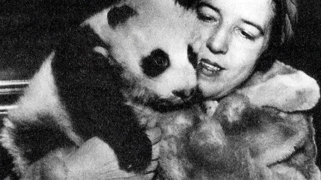 Still from Circling the Skies, Lady & the Panda, 12 Years a Slave
