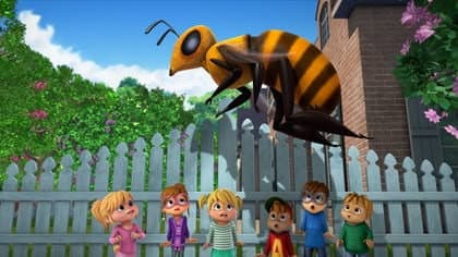 Still from Queen Bee