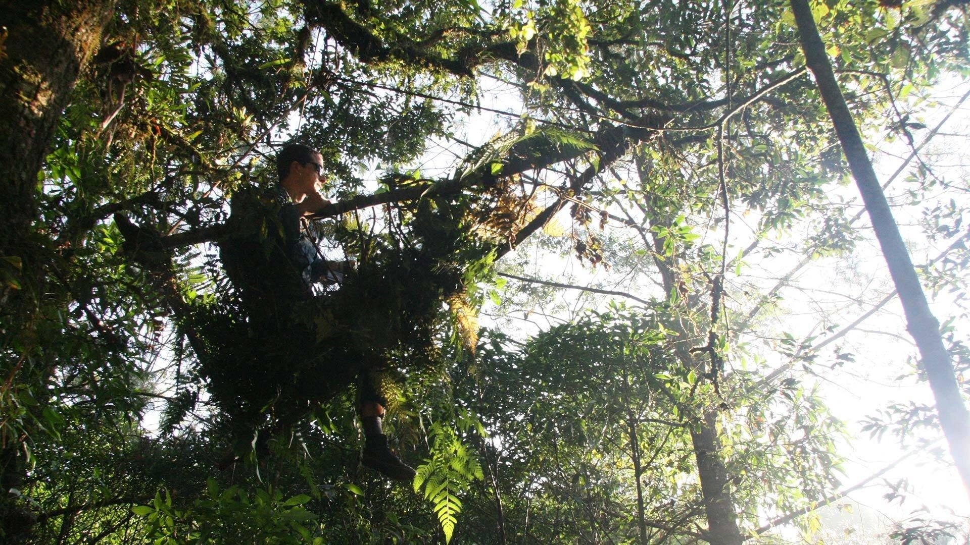 Still from Guatemala