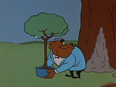 Still from The Money Tree