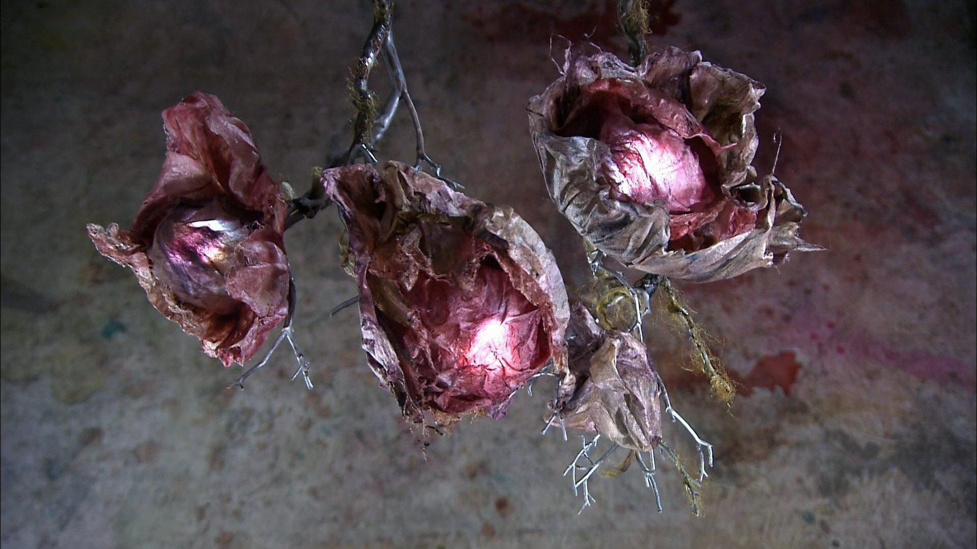 Still from Zip Line Brakes, Silk Fiber Lamps, Round Balers, Comfort Shoes