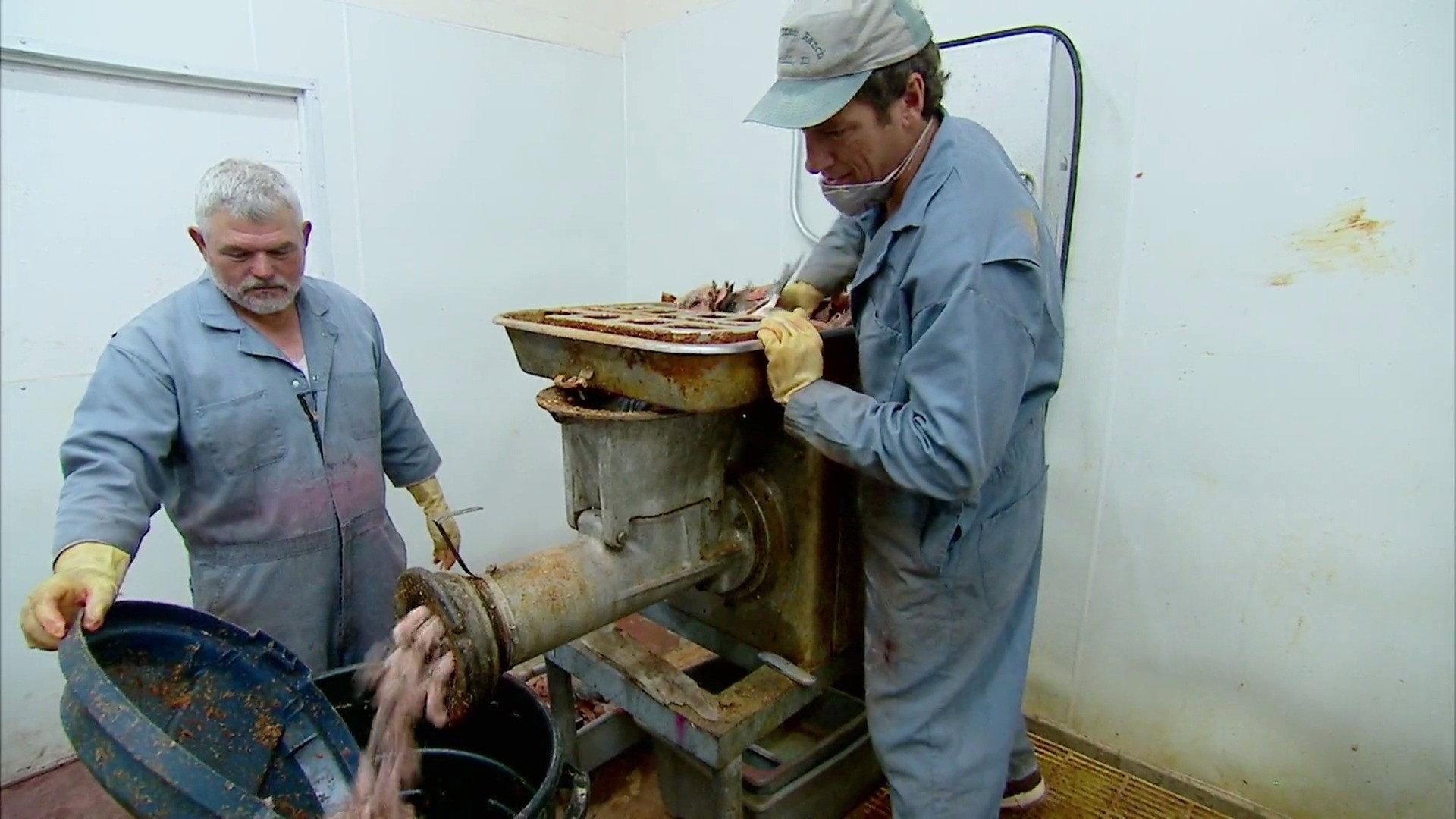 Still from Maggot Farmer