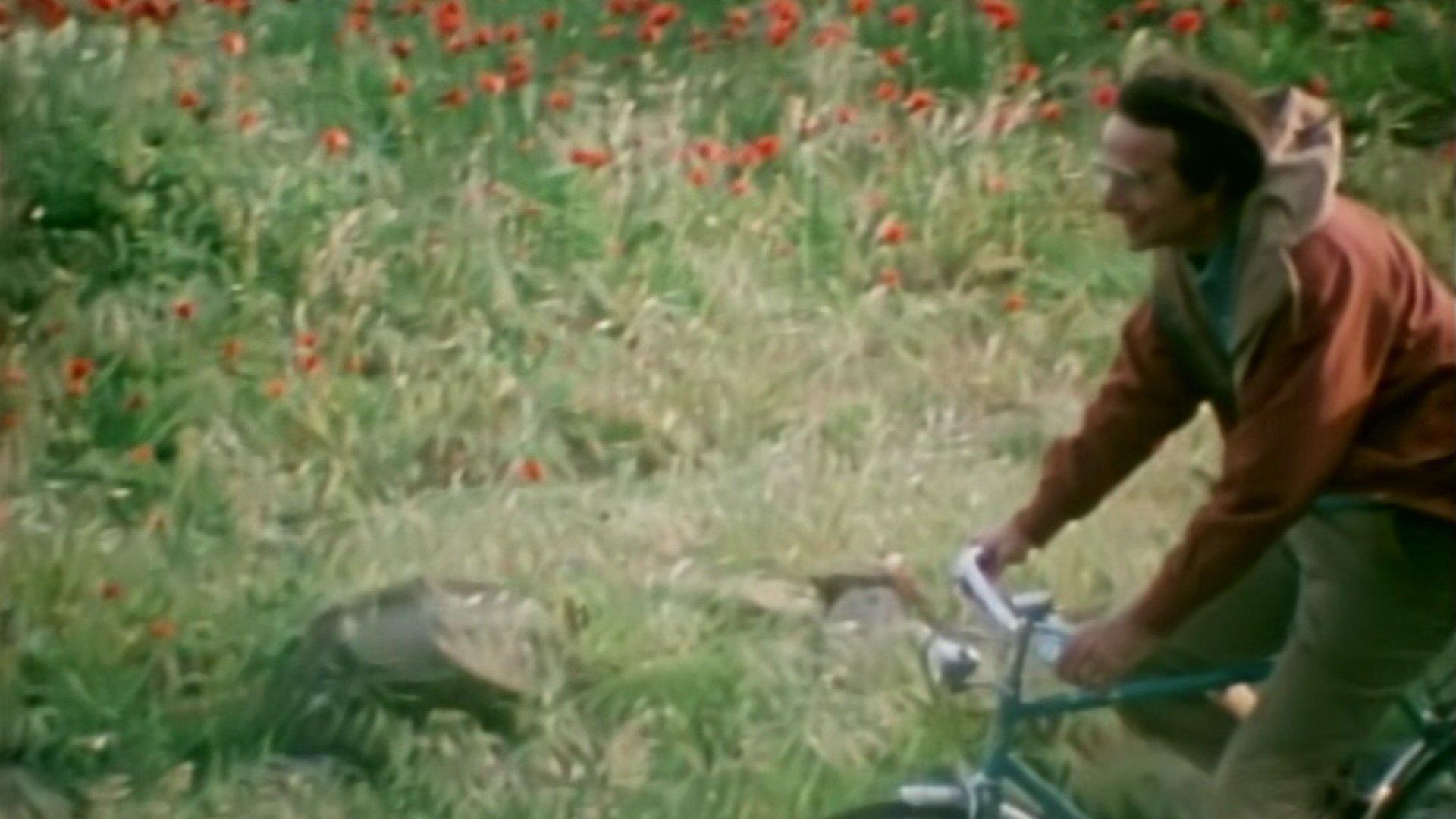 Still from Journeys in Space and Time