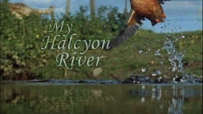 Still from My Halcyon River