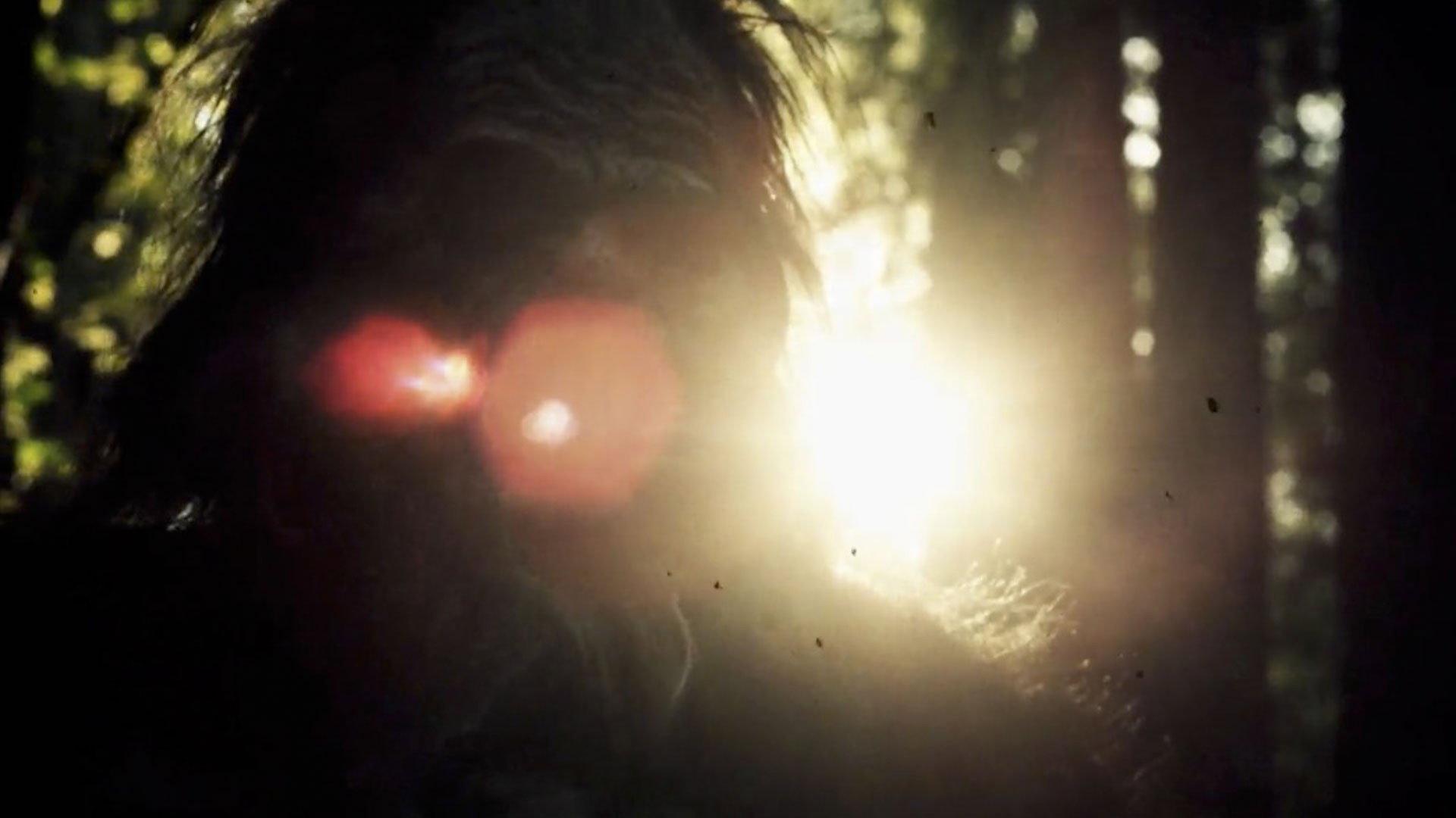 Still from Bigfoot Spotted in the Rocky Mountains and More