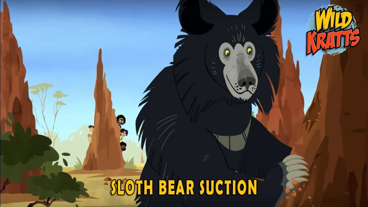 Still from Sloth Bear Suction