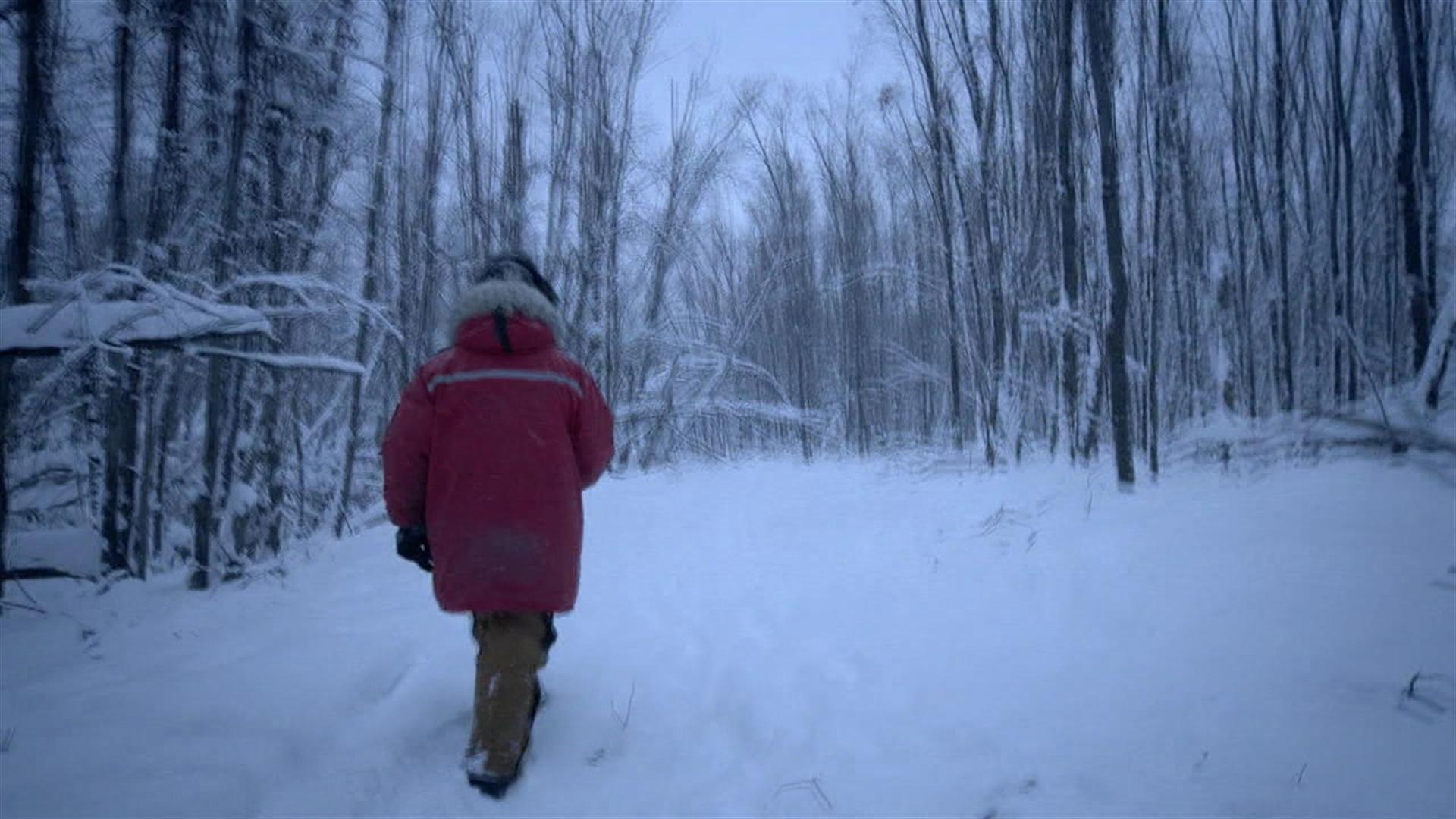 Still from On the Auroras