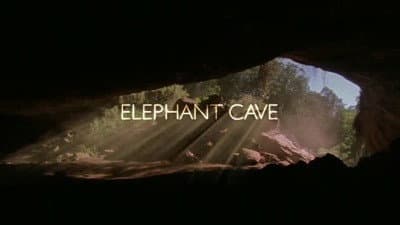 Still from Elephant Cave