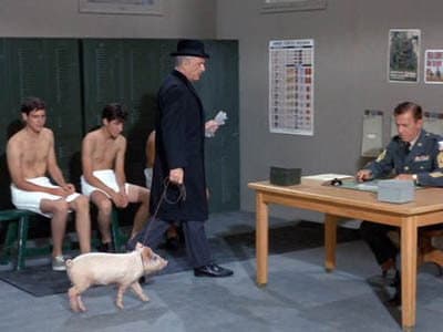 Still from I Didn't Raise My Pig to Be a Soldier