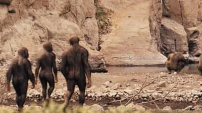 Still from The Chase Continues