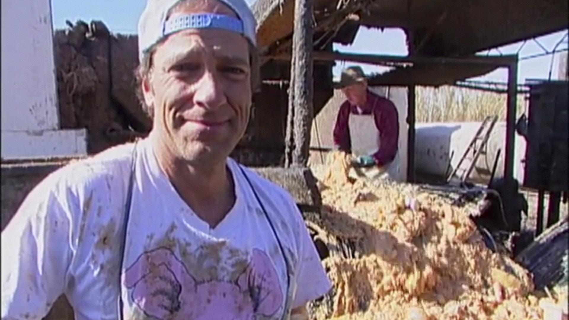 Still from Casino Food Recycler