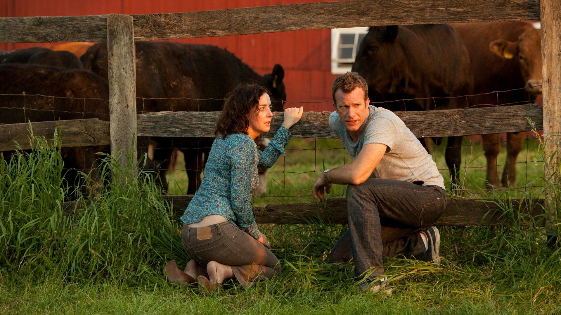 Still from The Whole Beefalo