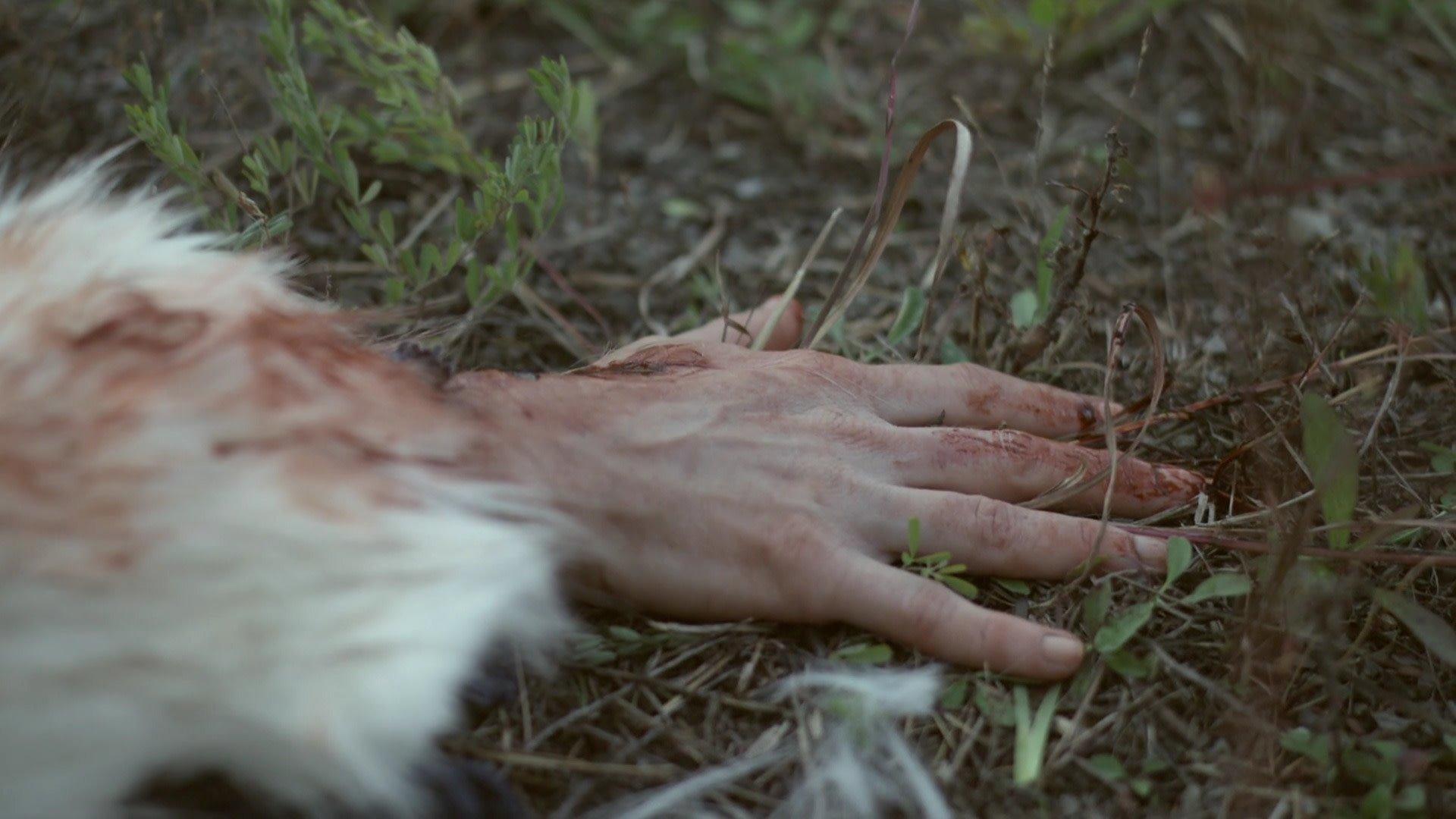 Still from Gun Instinct